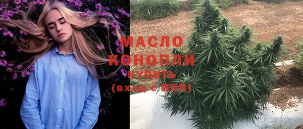сатива Заволжье