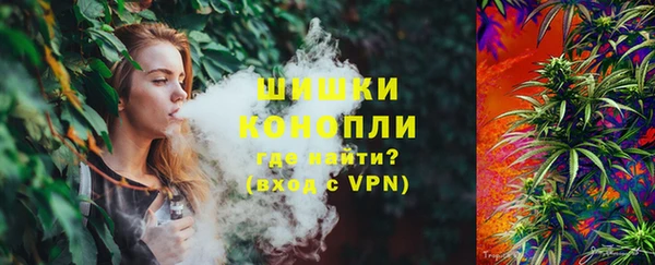 сатива Заволжье