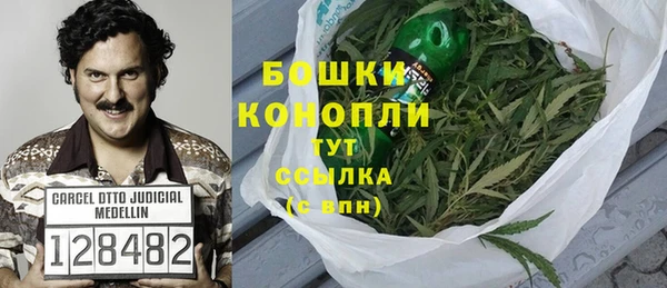 сатива Заволжье