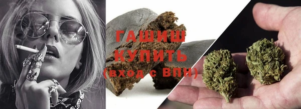 сатива Заволжье
