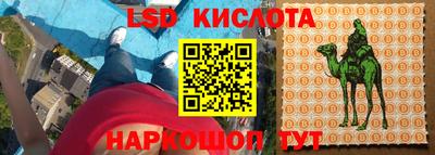 гашик Кулебаки