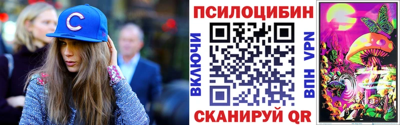 Псилоцибиновые грибы Cubensis  магазин продажи   ОМГ ОМГ маркетплейс  Тюмень 