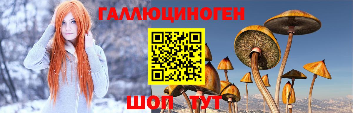 Тюмень  Галлюциногенные грибы MAGIC MUSHROOMS  Псилоцибиновые грибы Cubensis  закладка  Вход с VPN 